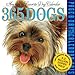 365 Dogs 2015 Calendar