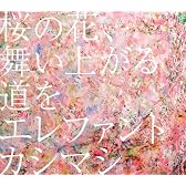 桜の花、舞い上がる道を