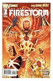 Fury Of Firestorm The Nuclear Men #1