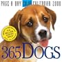 365 Dogs Page-A-Day Calendar 2008