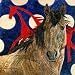 The Horse Tipi 500pc Jigsaw Puzzle by Judy Larsen