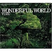 WONDERFUL WORLD