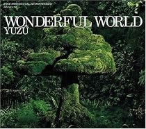 WONDERFUL WORLD