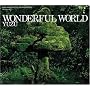 WONDERFUL WORLD