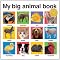 Forget Baby Einstein: Books for babies and toddlers