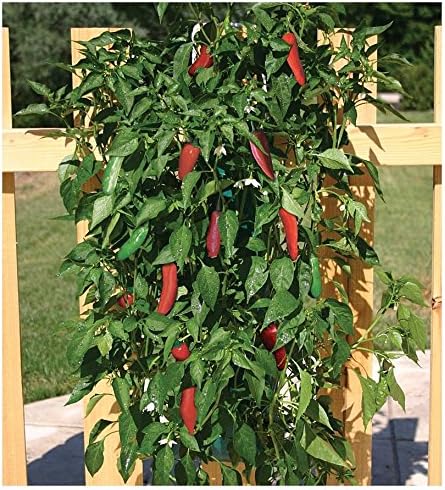 Blooming Plantables Vertical Garden, Jalapeño