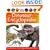 Dinosaur Encyclopedia (First Reference)