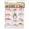 Tight Lines Saltwater Fish Chart #6