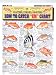 Tight Lines Saltwater Fish Chart #6