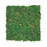 日本ビダヤコム HOMEDECO ナチュラルモスマット(30x30cm) GP0085 グリーン
