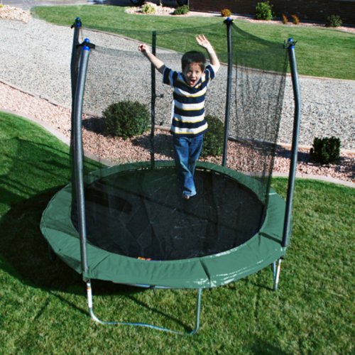 Skywalker Trampolines 8-ft. Round Trampoline with Enclosure Color - Green