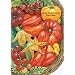 Garden Seed Inventory: Inventory Of Seed Catalogs Listing All Non-Hybrid Vegetable Seeds, Available in the United States and Canada
