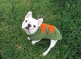 Handmade Wool Argyle Dog Puppy Sweater All Sizes