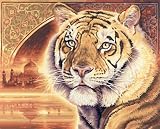 Schipper 609130454 Malen nach Zahlen, Indien Bengal Tiger, 40x50 cm