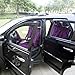 OxGord SCVE-Z1B-PP Purple & Black Zebra Car Cover Set (6pc)