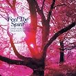 Feel The Spirit: Other Worldly Folk Music Gems And Psychedelics