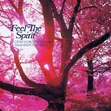 Feel The Spirit: Other Worldly Folk Music Gems And Psychedelics