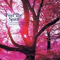 Feel The Spirit: Other Worldly Folk Music Gems And Psychedelics
