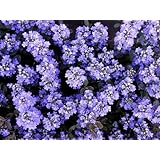 ���i�̏ڍ�