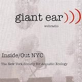 Inside/Out NYC: Giant Ear