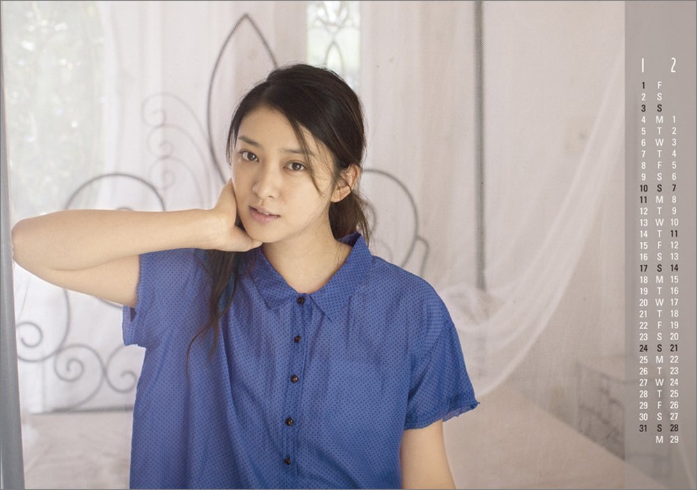 武井咲 2016年 カレンダー 卓上