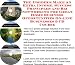 The Insider's Make An Extra Income, Success Principles and Biz Networking for Great Home Business Opportunities On-line Businesses 3 CD Course