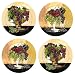 Set of 4 The Grapes of Wine Round Dessert Plates