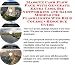 Book Massive Cash Flow Pack with Generate Extra Cash, Biz Networking and Sales Models for Flashlights Web Biz 3 Course + Resource Guide