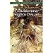 A Midsummer Night's Dream (Dover Thrift Editions)