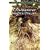 A Midsummer Night's Dream (Dover Thrift Editions)
