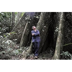 Il était une forêt [Combo Blu-ray + DVD]