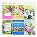 Paper Craft Moments to Treasure Assorted All Occasion Greeting Cards with KJV Scripture, 48 Count (IG68962)
