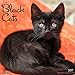 Just Black Cats 2017 Wall Calendar (Cat Breed Calendars)