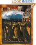Shall We Ever Rise?: A Holy Walk