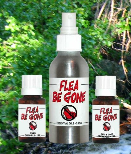 Here There and Beyond FLEABGONE-LARGE Flea Be Gone Large Dog - Over 40 Lbs.