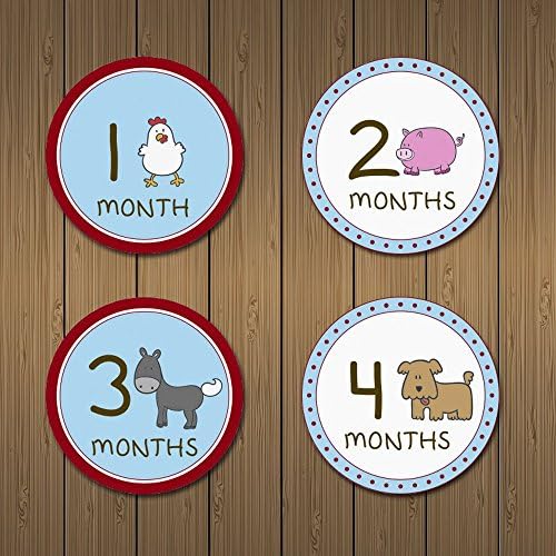 MyLilSprouts Farm Animals Monthly Baby Boy &amp; Girl Newborn MileStone Round Easy Peel Stickers 1 - 12 Months Set - Baby Shower Gift (Style 15)