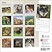 Wolves 2015 Wall Calendar