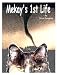 Books : Mekay's 1st Life