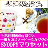 みんな大好きスヌーピーコラボシリーズ 「ライチ50g＋スヌーピーでかマグ(CAKES)セット」