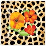 Slimware Urban Safari Portion Conscious Dinner Plates, Set of 4