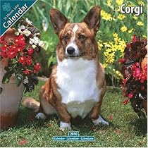 Corgi 2010 Wall Calendar #10031-10