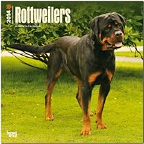 Rottweilers Calendar