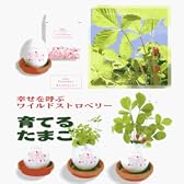 育てるたまごワイルドストロベリー×2個セット