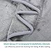 MEROUS Twin Size Polar Fleece Bed Summer Blanket Warm Cozy Microfiber Fuzzy Soft Lightweight All Season Blankets for Couch Travel Sofa, Gray