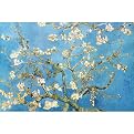Unframed Posters - Van Gogh "Almond Blossom" (24 x 36")