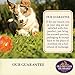 Old Mother Hubbard Classic Crunchy Natural Dog Treats, Original Assortment Mini Biscuits, 5-Ounce Bag
