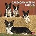 Cardigan Welsh Corgis 2012 Wall Calendar 12