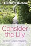 Consider the Lily