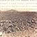 The Desert Music