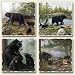 Keeping Watch Black Bears Assorted Tumbled Stone Coaster Set of 4, Highland Graphics